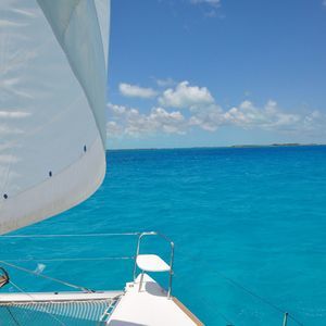 Meet your Posher, Pat